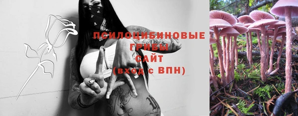 стаф Алексин