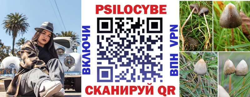 наркотики  Приморск  Галлюциногенные грибы Cubensis 